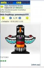 totem.webp