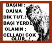 1yqy.webp