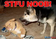 STFU_NOOB.jpg_1286408190.webp