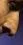 images.webp