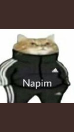 B4415321-7B89-496F-9A6C-4C3711FE4311.jpeg