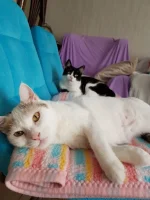 Melahat ve Panda 2.webp Melahat ve Panda 2.webp