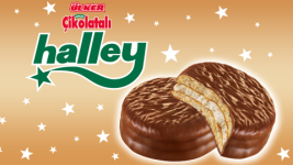 halley.png
