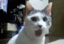 indir.gif