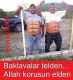 images (14).jpeg
