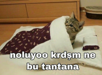 1611879854997.png
