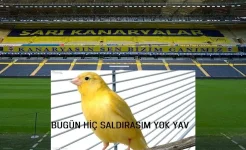 knrya.webp knrya.webp