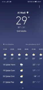 Screenshot_20210217_204734_com.huawei.android.totemweather.webp