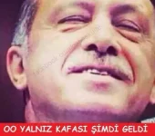 nq9ROJF.webp