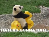 hatersgonnapanda.webp