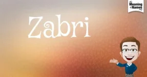 Zabri-t919403b4fb1e323bd71ef6819d931a5a13adc8a17ce8e7e9300489b2620a06d6k-lq.webp