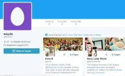 2016-11-27 19_29_35-wayde (@kanala2) _ Twitter.webp