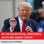 47_d.webp