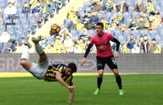 ozan vole.webp