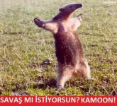 savas-mi-istiyorsun-kamon_467784.webp savas-mi-istiyorsun-kamon_467784.webp