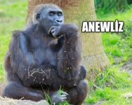 aneliz.jpg