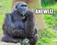 aneliz.webp