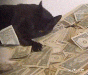 rolling in money gif.gif