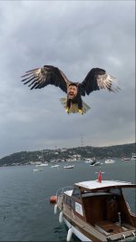 EuN1JSzXcAE1FdN.jpeg
