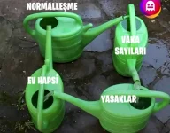 Evte7QjWgAMAOZT.webp