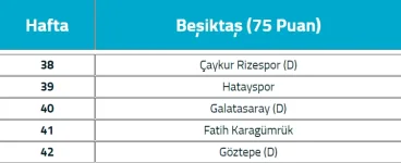 besiktaş.jpg.png besiktaş.jpg.png