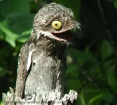 ugly.webp
