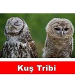 345361.webp