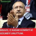 81DleGi_1AU.webp