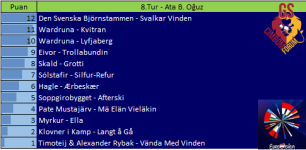 8.Tur.png