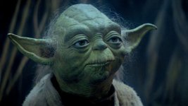 yoda.jpg