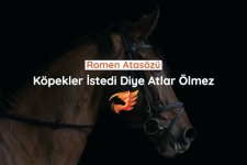 images (85).jpeg
