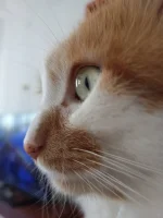 3333333.webp