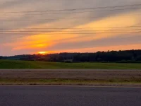 20210618_204049.webp
