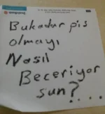 1624216200798.webp