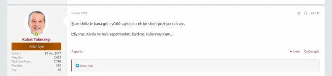 1111.webp