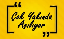 1624468900195.webp