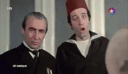IndolentGlumAztecant-max-1mb (1).gif