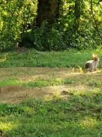 20210625_191104.webp
