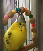 1625224013073.png