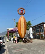 IMG_20210719_125509.webp