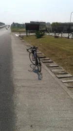 20210719_162225.webp