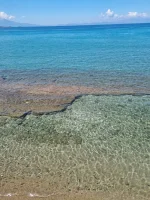 IMG-20210720-WA0025.webp