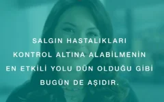 1627318596523.webp