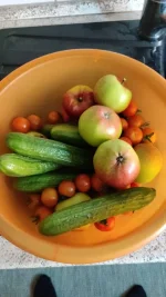 IMG-20210728-WA0000.webp