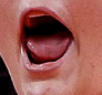 1627569755191.png