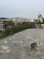 image.webp