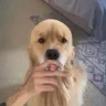1629121745143.webp