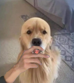 1629110367901.png