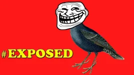 kus.webp kus.webp