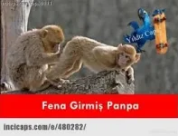 Download.webp